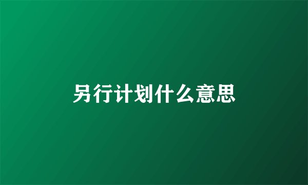 另行计划什么意思
