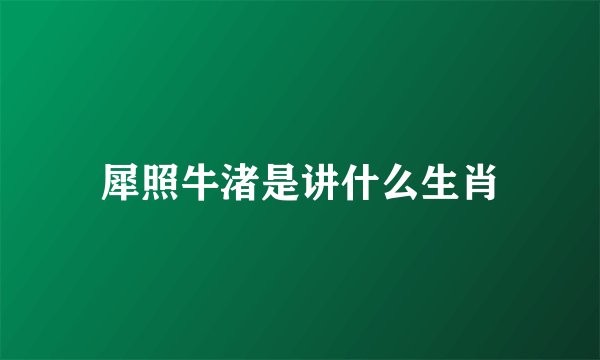 犀照牛渚是讲什么生肖