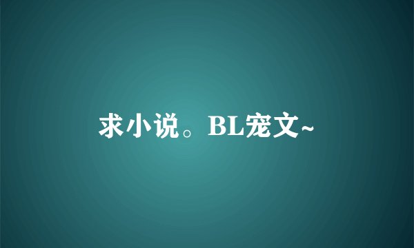 求小说。BL宠文~