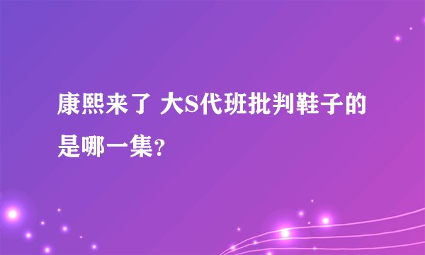 康熙来了 大S代班批判鞋子的是哪一集？