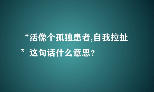 “活像个孤独患者,自我拉扯”这句话什么意思？