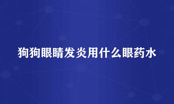 狗狗眼睛发炎用什么眼药水