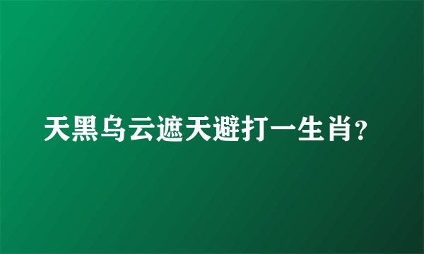 天黑乌云遮天避打一生肖？