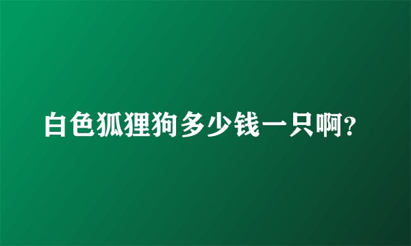 白色狐狸狗多少钱一只啊？