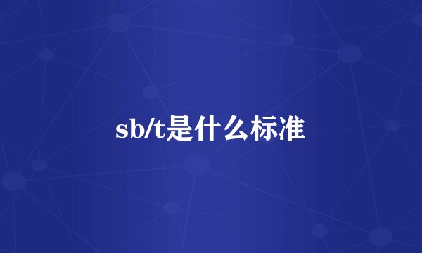sb/t是什么标准
