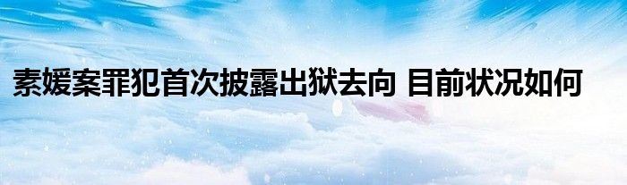 素媛案罪犯首次披露出狱去向目前状况如何