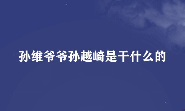 孙维爷爷孙越崎是干什么的