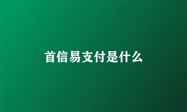 首信易支付是什么