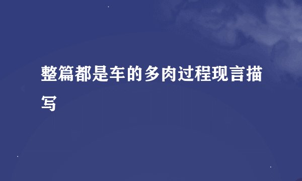 整篇都是车的多肉过程现言描写