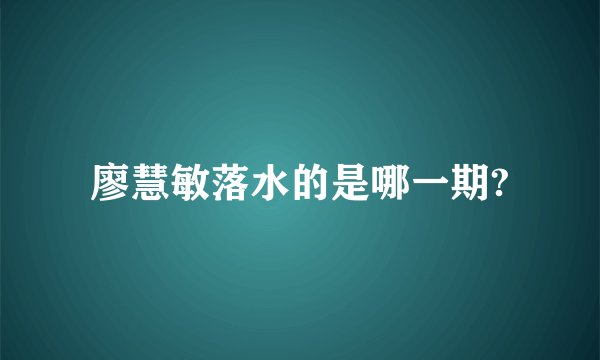 廖慧敏落水的是哪一期?