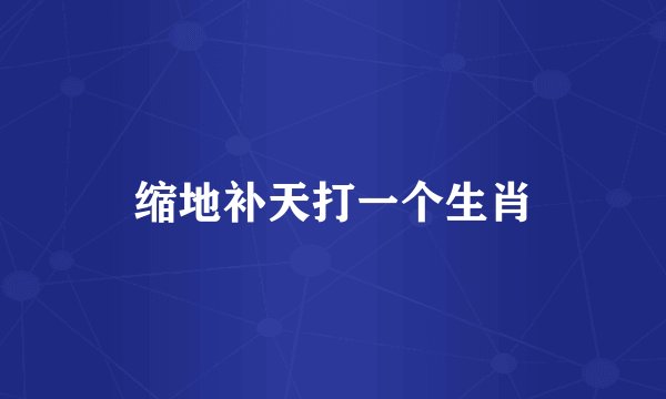 缩地补天打一个生肖