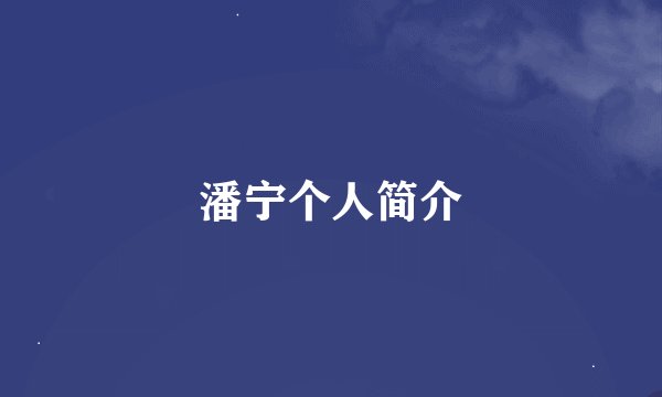 潘宁个人简介