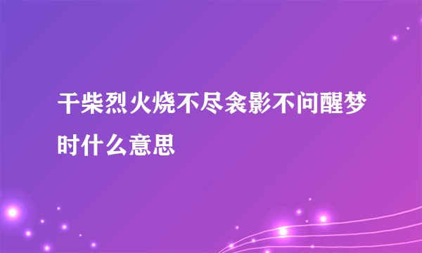 干柴烈火烧不尽衾影不问醒梦时什么意思