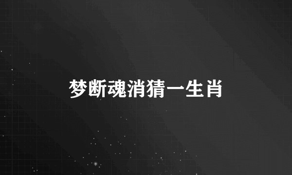 梦断魂消猜一生肖