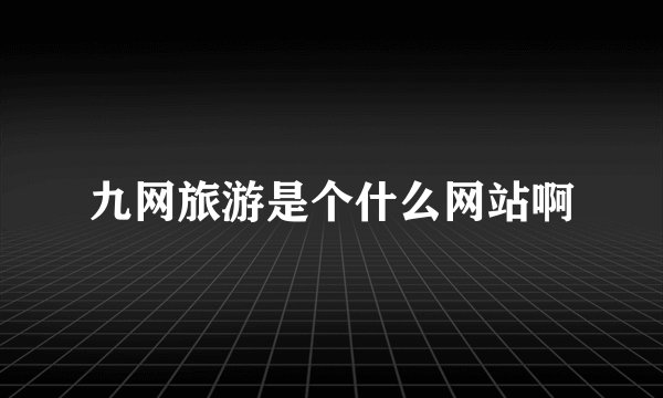 九网旅游是个什么网站啊