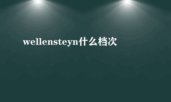 wellensteyn什么档次