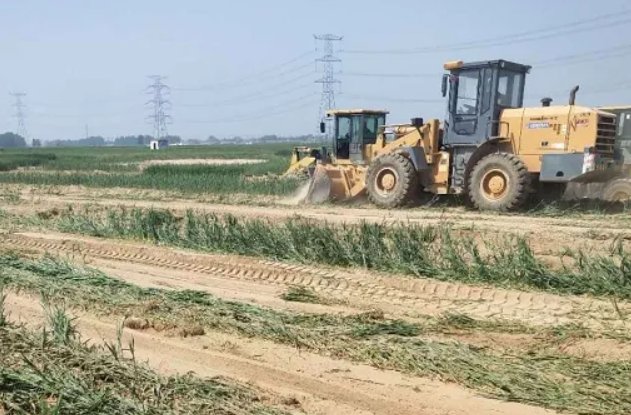 河北两村庄因建光伏电站毁百亩麦地,毁麦田建光伏发电是杀鸡取卵的行为吗?