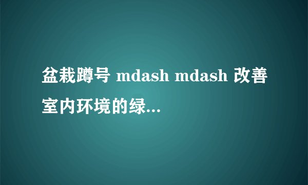 盆栽蹲号 mdash mdash 改善室内环境的绿色生活方式