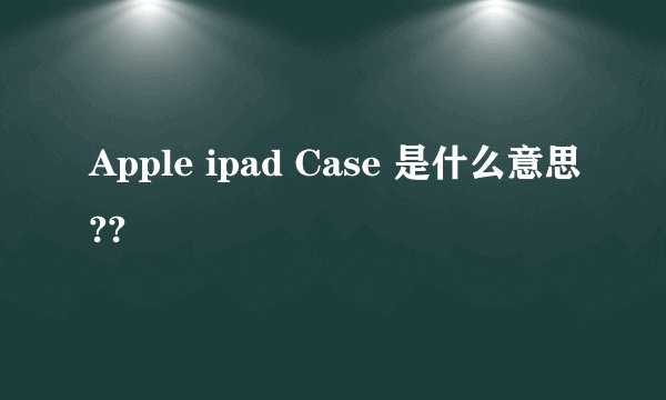 Apple ipad Case 是什么意思??