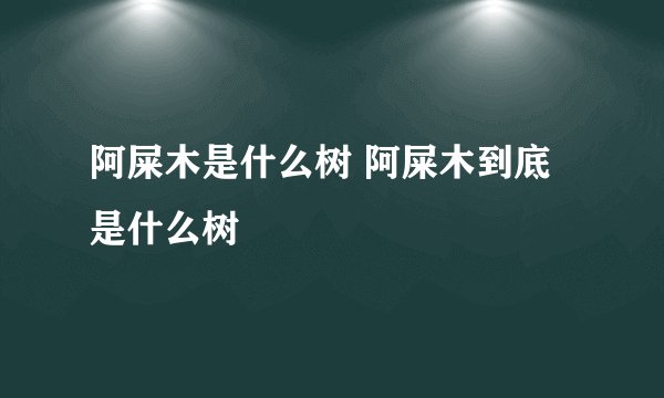 阿屎木是什么树 阿屎木到底是什么树