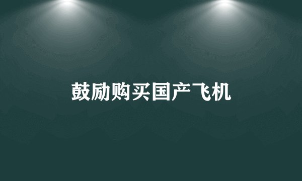 鼓励购买国产飞机