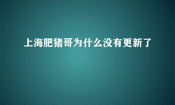 上海肥猪哥为什么没有更新了