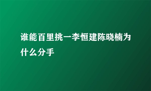 谁能百里挑一李恒建陈晓楠为什么分手