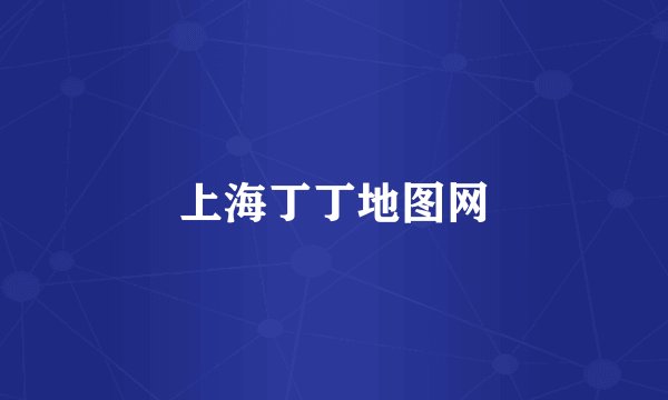 上海丁丁地图网