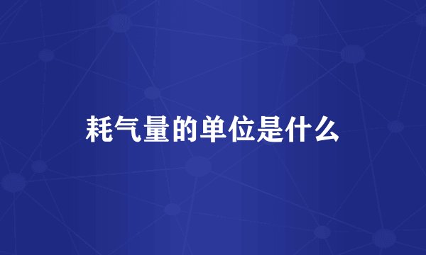 耗气量的单位是什么