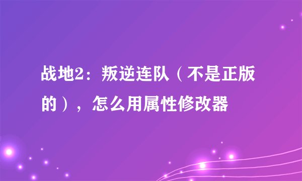 战地2：叛逆连队（不是正版的），怎么用属性修改器