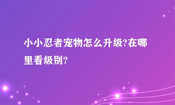 小小忍者宠物怎么升级?在哪里看级别?