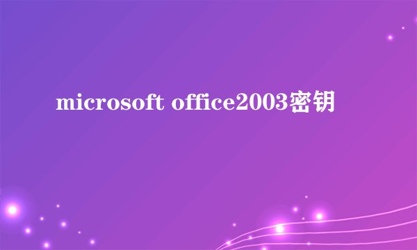 microsoft office2003密钥
