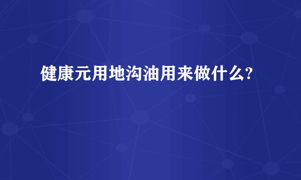 健康元用地沟油用来做什么?