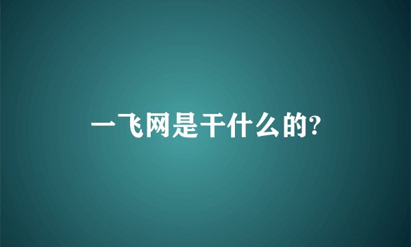 一飞网是干什么的?