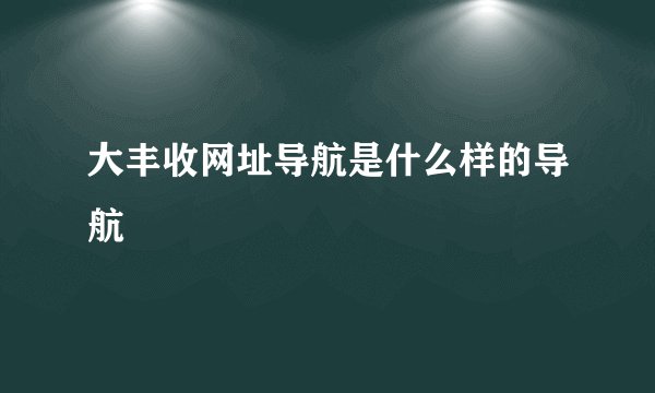 大丰收网址导航是什么样的导航