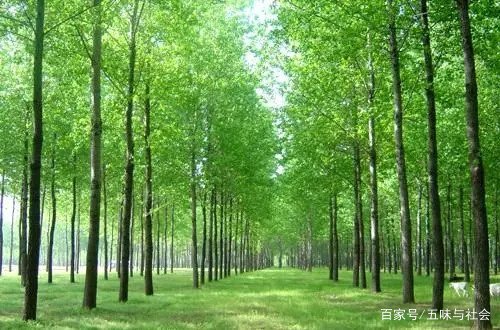 广东男子中暑体温42度不幸身亡,难道霍金的预言真的要实现了吗?