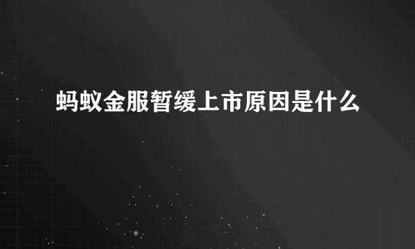 蚂蚁金服暂缓上市原因是什么