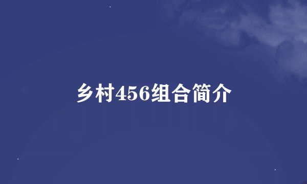 乡村456组合简介
