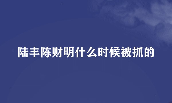 陆丰陈财明什么时候被抓的