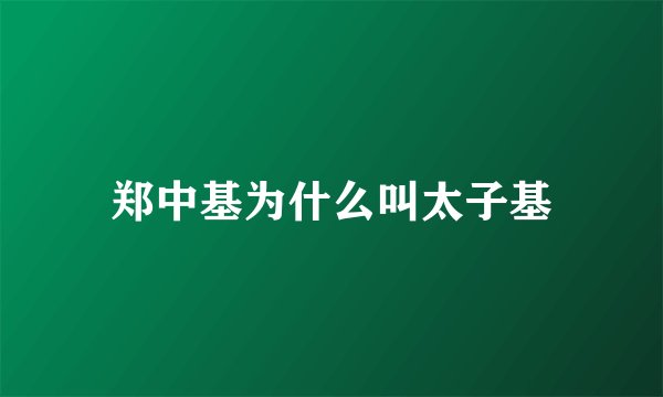 郑中基为什么叫太子基