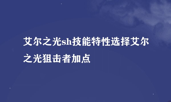 艾尔之光sh技能特性选择艾尔之光狙击者加点