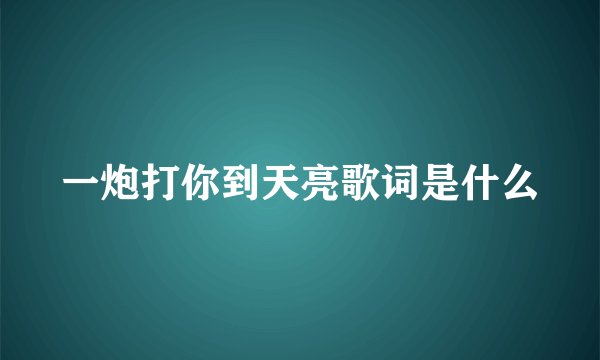 一炮打你到天亮歌词是什么