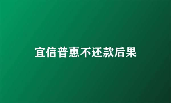 宜信普惠不还款后果