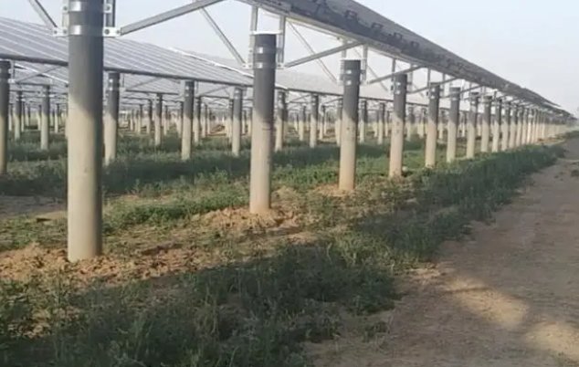 河北两村庄因建光伏电站毁百亩麦地，毁麦田建光伏发电是杀鸡取卵的行为吗？
