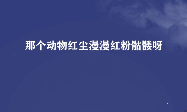那个动物红尘漫漫红粉骷髅呀