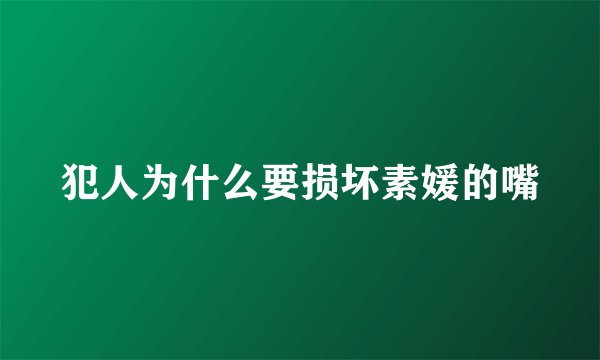犯人为什么要损坏素媛的嘴