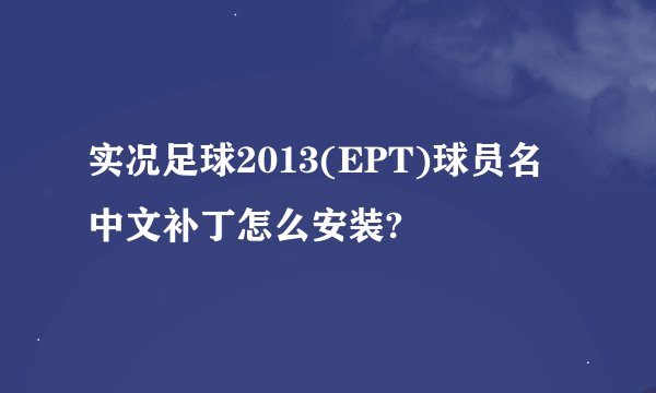 实况足球2013(EPT)球员名中文补丁怎么安装?