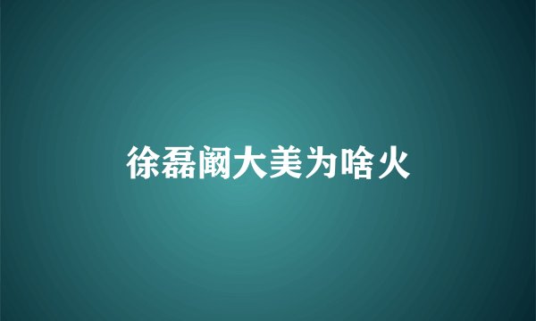 徐磊阚大美为啥火