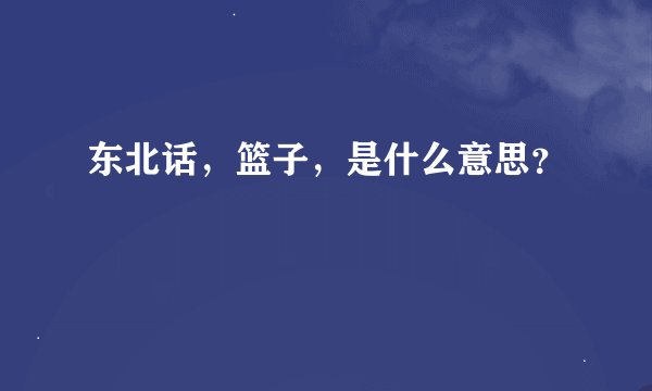 东北话，篮子，是什么意思？