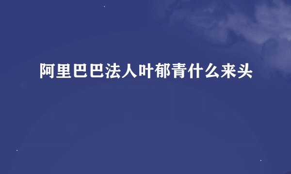 阿里巴巴法人叶郁青什么来头